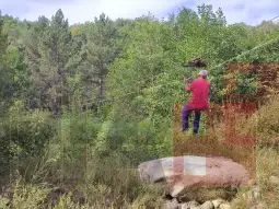 Леса атракција кај Тиквешко Езеро 4